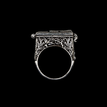 Silver antique brass poison ring with intricate snake design