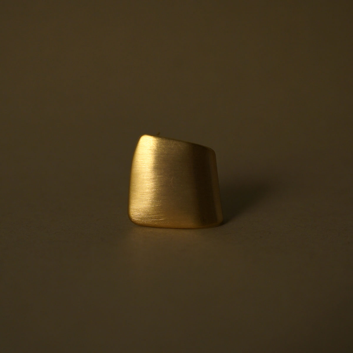 Stainless steel gold-plated curved matte finish earrings