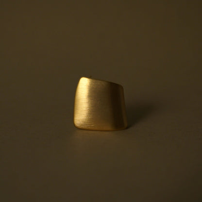 Stainless steel gold-plated curved matte finish earrings